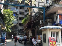 -阿一猪红汤(东风西路店)