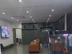 -大黄蜂汽车贴膜隐形车衣3M黑钻臻选(007店)
