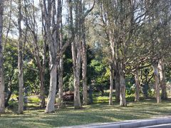-东莞植物园