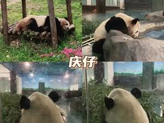 -安吉竹博园
