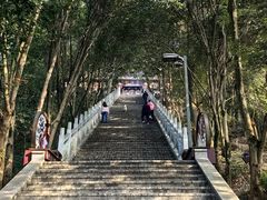 -成都老君山