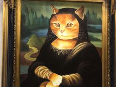 -宠爱国际动物医院·消化内科·心肾内科·ISFM猫友好(望京店)