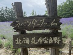 -富田农场