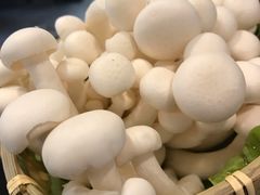 -东椰·海南椰子鸡火锅(朝阳门店)