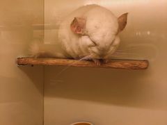 -龙猫仔乐园(惠福东路店)