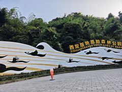 -西双版纳原始森林公园