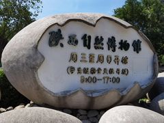 -陕西自然博物馆