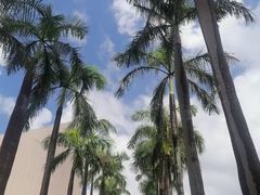 -维多利亚港