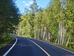 -五营红松林海景区