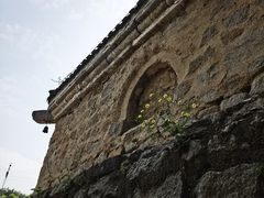 -白水寺森林公园