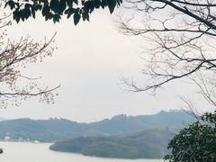 -天目湖涵田半山温泉