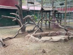 -深圳野生动物园