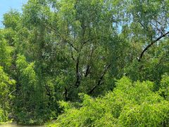 -潮喜竹溪荔湖酒家(荔枝湾店)