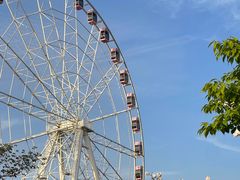 -上海共青森林公园