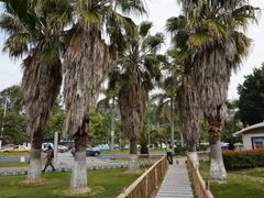 -黄金海岸环岛路