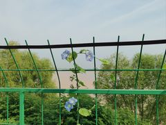 -黄河花园口旅游区