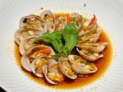 捞汁红心贝-虹潮荟·餐桌上的美食地理(太阳宫店)