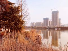 -梅溪湖公园