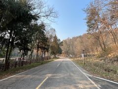 -素山寺森林公园