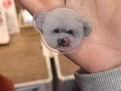 -和它·交个朋友·狗咖猫咖(爱琴海店)