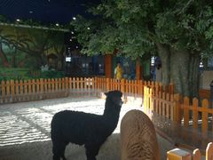 -华夏文旅西安度假区