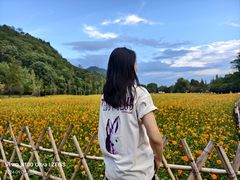 -贵阳市花溪国家城市湿地公园