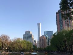 -团结湖公园