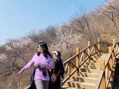 -大岭沟猕猴桃谷风景区