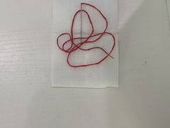 -萌兽医馆·宠物医院·猫骨科(创景店)