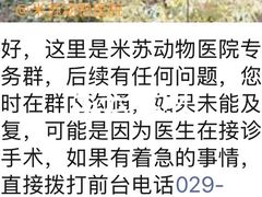 -米苏动物医院·犬猫专科·骨科外科内窥镜