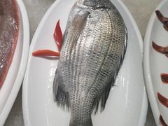 -杨记海鲜楼(三门黑金冠店)
