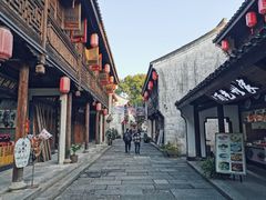 -鲁镇