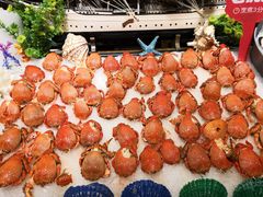 -芭菲盛宴·环球美食(锦城万达广场店)