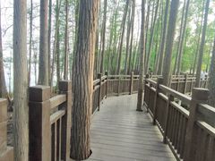 -东湖落雁景区