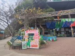 -芦仙山景区-飞越丛林探险乐园