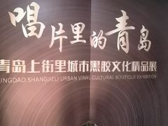 -树懒黑胶唱片店(中山路店)