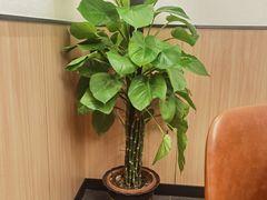 -老伙记海鲜码头(北滘店)