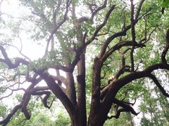 iphone_upload_pic-北京密云天门山风景区