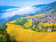 -龙脊梯田