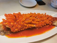 -刘胖子家常菜·蹄花焖藕(兴业店)