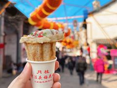 -惠山古镇·寄畅园