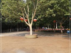 -丰台科技园生态主题公园