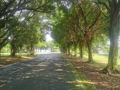 -福建鲤鱼洲酒店