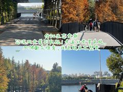 -云碧峰国家森林公园