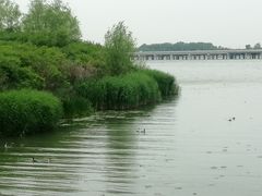 -丁香湖公园