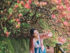 -木兰云雾山