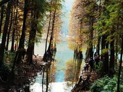 -广州市白云山风景名胜区