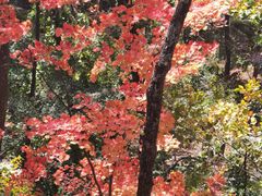 -本溪关山湖风景区