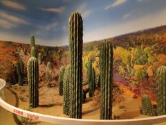 -恩格贝生态旅游区