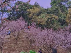 -广州市白云山风景名胜区